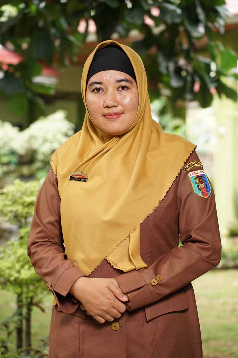 Renita Sugiarti, S.Kom.