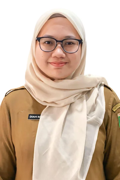 Diah Nuraini, A.Md.S.I.Ak. (Pasfoto)