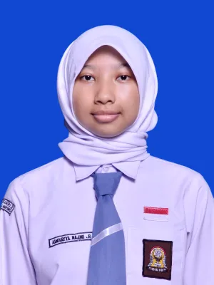 AINHAYYA NAJMI RUMASHA