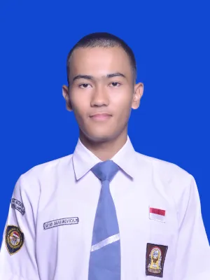 BRYAN IBRAHIMOVICH NASUHA